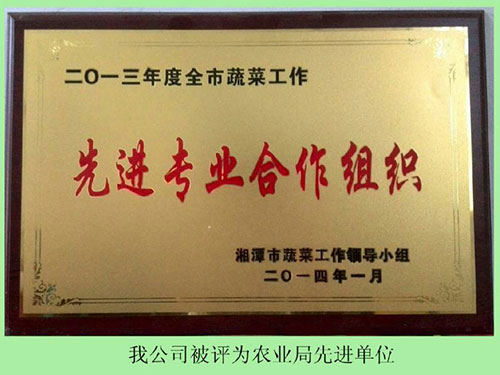 农业局先进单位