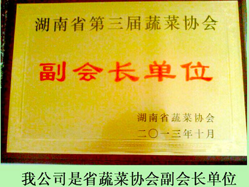 蔬菜协会副会长单位
